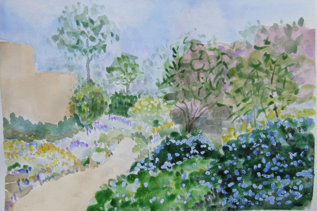 Spring garden with Ceanothus - Connie Vadheim